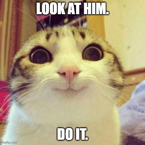 Look. | LOOK AT HIM. DO IT. | image tagged in memes,smiling cat | made w/ Imgflip meme maker