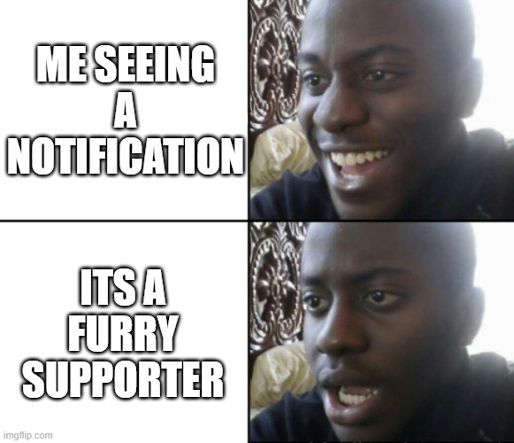 Happy / Shock | ME SEEING A NOTIFICATION ITS A FURRY SUPPORTER | image tagged in happy / shock | made w/ Imgflip meme maker