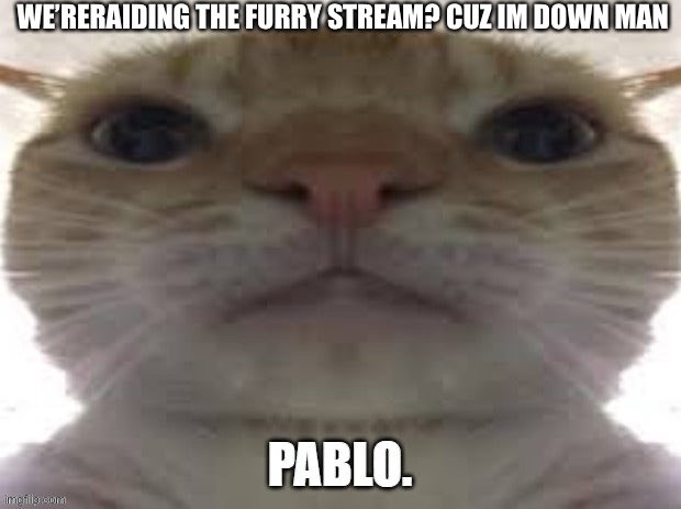 We doing this? I’m always down fam | WE’RERAIDING THE FURRY STREAM? CUZ IM DOWN MAN | image tagged in yes,no,maybe | made w/ Imgflip meme maker