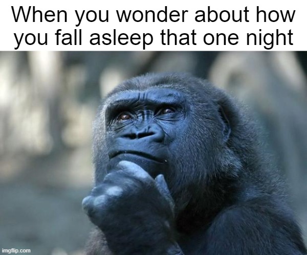 We always think about how we fall asleep in the first place, right? | When you wonder about how you fall asleep that one night | image tagged in deep thoughts | made w/ Imgflip meme maker