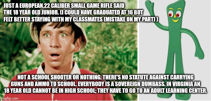 School shooter | JUST A EUROPEAN.22 CALIBER SMALL GAME RIFLE SAID THE 18 YEAR OLD JUNIOR. (I COULD HAVE GRADUATED AT 16 BUT FELT BETTER STAYING WITH MY CLASSMATES (MISTAKE ON MY PART) ); NOT A SCHOOL SHOOTER OR NOTHING. THERE'S NO STATUTE AGAINST CARRYING GUNS AND AMMO TO SCHOOL. EVERYBODY IS A SOVEREIGN DUMBASS. IN VIRGINIA AN 18 YEAR OLD CANNOT BE IN HIGH SCHOOL; THEY HAVE TO GO TO AN ADULT LEARNING CENTER. | image tagged in funny memes | made w/ Imgflip meme maker