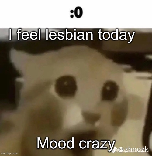:0 | I feel lesbian today; Mood crazy | made w/ Imgflip meme maker