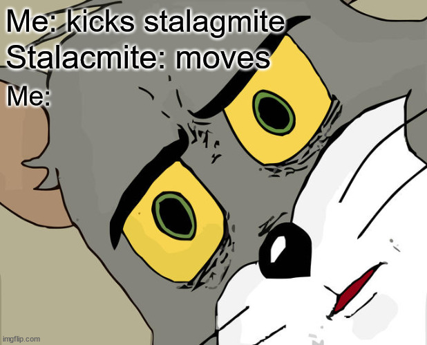 Everyone forgets about darkmantles | Me: kicks stalagmite; Stalacmite: moves; Me: | image tagged in memes,unsettled tom | made w/ Imgflip meme maker