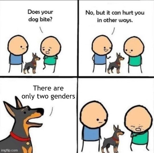 dog can hurt | There are only two genders | image tagged in does your dog bite,memes,funny memes,dog | made w/ Imgflip meme maker