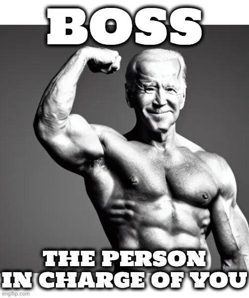 THE BOSS | BOSS; THE PERSON IN CHARGE OF YOU | image tagged in boss,president,ceo,leader,chief,head of state | made w/ Imgflip meme maker