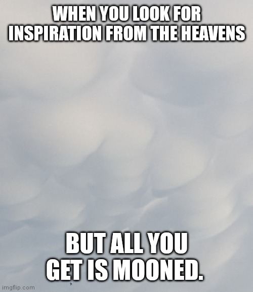 WHEN YOU LOOK FOR INSPIRATION FROM THE HEAVENS; BUT ALL YOU GET IS MOONED. | made w/ Imgflip meme maker