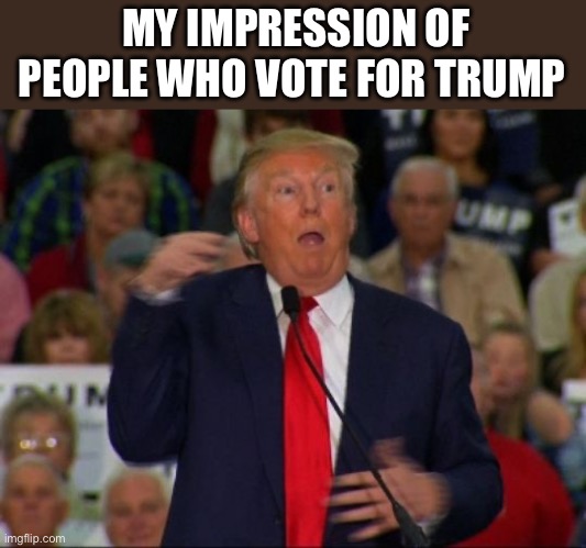 Trump Mocking Reporter | MY IMPRESSION OF PEOPLE WHO VOTE FOR TRUMP | image tagged in trump mocking reporter | made w/ Imgflip meme maker