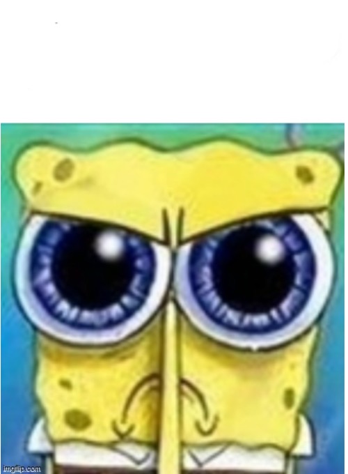 Angry spongebob blank | image tagged in angry spongebob blank | made w/ Imgflip meme maker