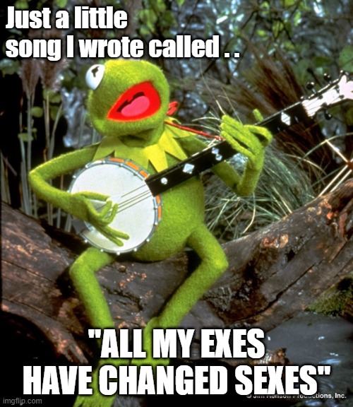 Exes Changed Sexes | Just a little song I wrote called . . "ALL MY EXES HAVE CHANGED SEXES" | image tagged in kermit guitar,transgender,stupid liberals | made w/ Imgflip meme maker