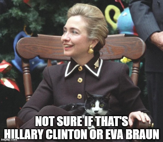 Confusion | NOT SURE IF THAT'S HILLARY CLINTON OR EVA BRAUN | image tagged in hillary clinton,eva braun | made w/ Imgflip meme maker