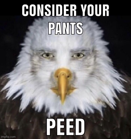 Not fake, real. | image tagged in consider your pants peed | made w/ Imgflip meme maker