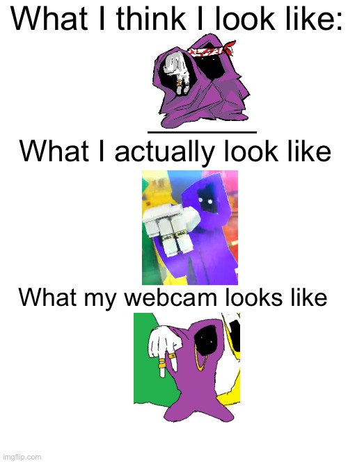 what I look like | What I think I look like:; What I actually look like; What my webcam looks like | image tagged in shadow wizard money gang | made w/ Imgflip meme maker