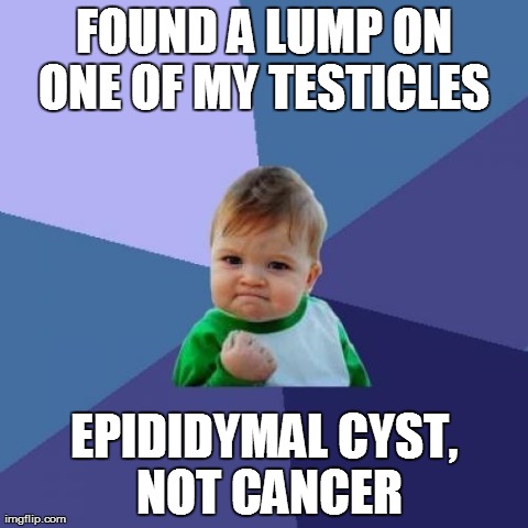 Success Kid Meme | FOUND A LUMP ON ONE OF MY TESTICLES  EPIDIDYMAL CYST, NOT CANCER | image tagged in memes,success kid,AdviceAnimals | made w/ Imgflip meme maker