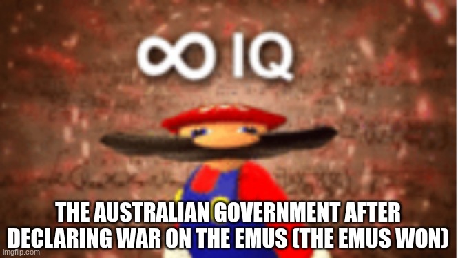 emu | THE AUSTRALIAN GOVERNMENT AFTER DECLARING WAR ON THE EMUS (THE EMUS WON) | image tagged in infinite iq,australia,history memes,insanity | made w/ Imgflip meme maker