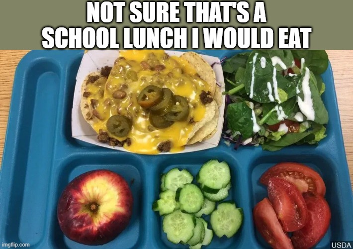 Lunch Time | NOT SURE THAT'S A SCHOOL LUNCH I WOULD EAT | image tagged in food | made w/ Imgflip meme maker