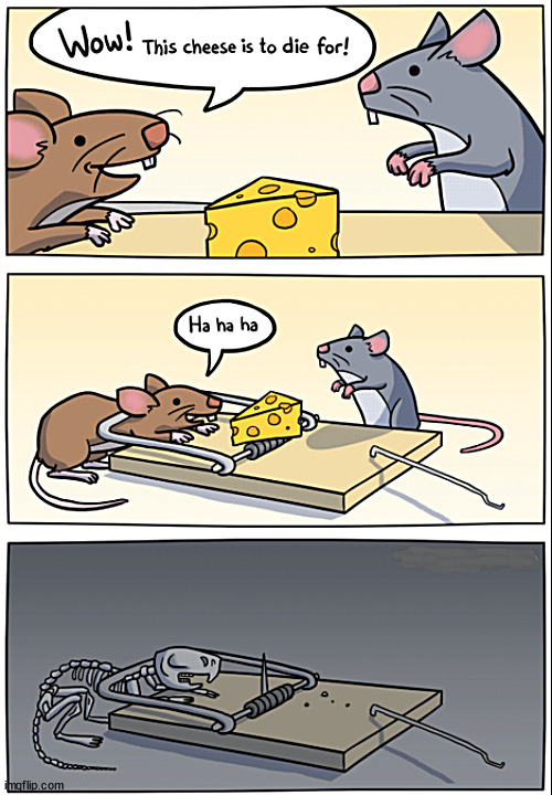 to die for | image tagged in memes,comics,mouse trtap | made w/ Imgflip meme maker