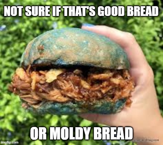 Bread Problems | NOT SURE IF THAT'S GOOD BREAD; OR MOLDY BREAD | image tagged in food | made w/ Imgflip meme maker