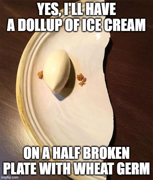 Stupid Fancy | YES, I'LL HAVE A DOLLUP OF ICE CREAM; ON A HALF BROKEN PLATE WITH WHEAT GERM | image tagged in food | made w/ Imgflip meme maker