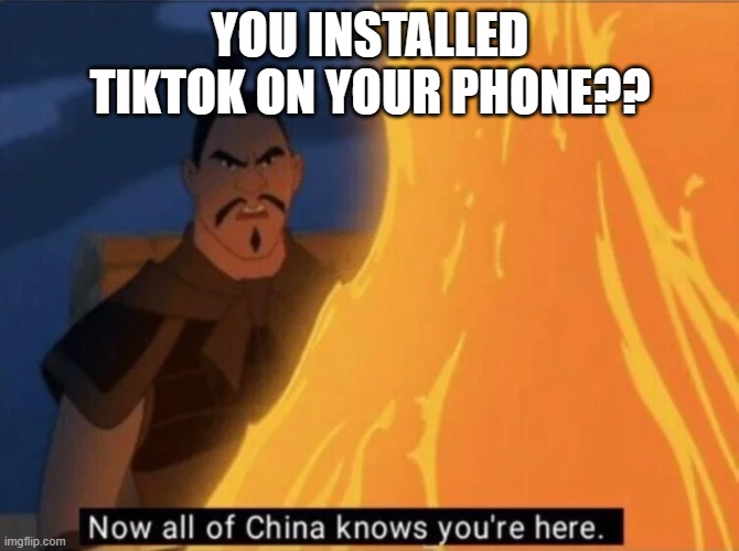 Now all of China knows you're here | YOU INSTALLED TIKTOK ON YOUR PHONE?? | image tagged in now all of china knows you're here | made w/ Imgflip meme maker