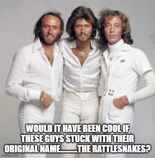 Ah Ah Ah Ah Takin a Bite Takin a Bite | WOULD IT HAVE BEEN COOL IF THESE GUYS STUCK WITH THEIR ORIGINAL NAME..........THE RATTLESNAKES? | image tagged in bee gees | made w/ Imgflip meme maker