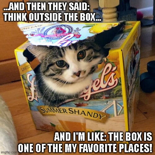 Cat in a Box | ...AND THEN THEY SAID: 
THINK OUTSIDE THE BOX... AND I'M LIKE: THE BOX IS ONE OF THE MY FAVORITE PLACES! | image tagged in cat in a box | made w/ Imgflip meme maker