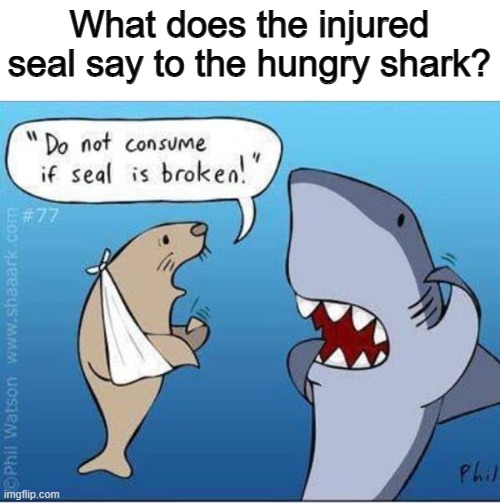 Haha XD | What does the injured seal say to the hungry shark? | made w/ Imgflip meme maker