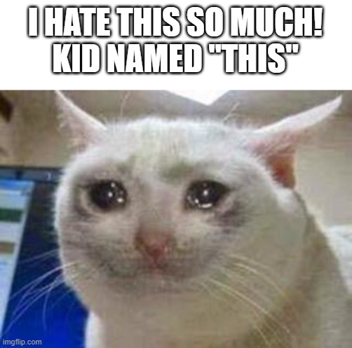 so true ;-; | I HATE THIS SO MUCH!
KID NAMED "THIS" | image tagged in sad cat | made w/ Imgflip meme maker