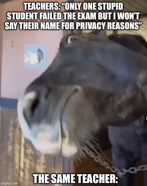 Teachers be like this for no reason | TEACHERS: “ONLY ONE STUPID STUDENT FAILED THE EXAM BUT I WON’T SAY THEIR NAME FOR PRIVACY REASONS”; THE SAME TEACHER: | image tagged in looking horse,teachers,test,teacher,fun,obvious | made w/ Imgflip meme maker