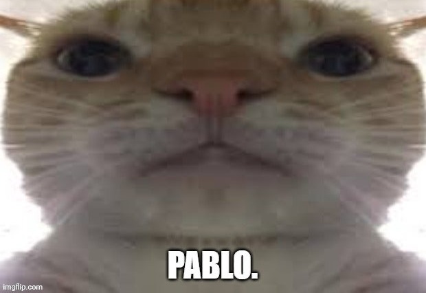 Pablo. | image tagged in pablo | made w/ Imgflip meme maker