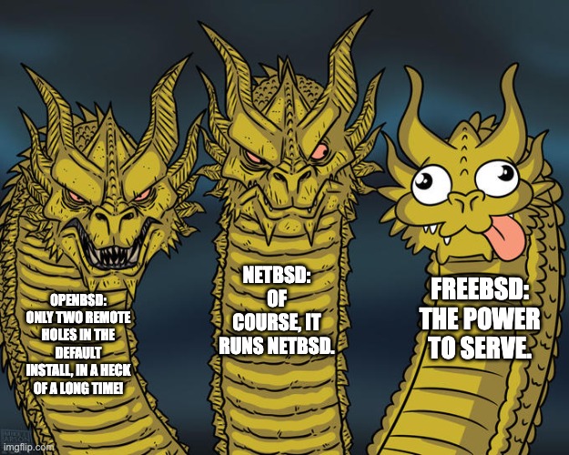 Three-headed Dragon | NETBSD: OF COURSE, IT RUNS NETBSD. FREEBSD: THE POWER TO SERVE. OPENBSD: ONLY TWO REMOTE HOLES IN THE DEFAULT INSTALL, IN A HECK OF A LONG TIME! | image tagged in three-headed dragon | made w/ Imgflip meme maker