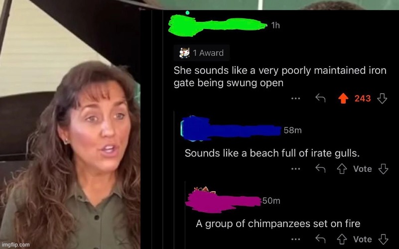 If only we could get a voice clip... The insults give us a general idea of her voice though XD | made w/ Imgflip meme maker