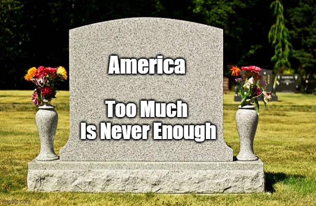 Too Much Is Never Enough | America; Too Much 
Is Never Enough | image tagged in mary trump book title,too much,everything in moderation | made w/ Imgflip meme maker