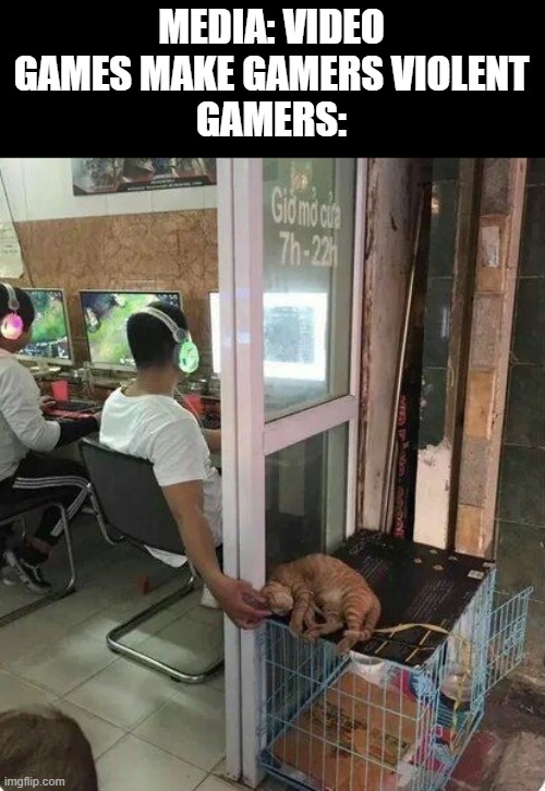 video games | MEDIA: VIDEO GAMES MAKE GAMERS VIOLENT
GAMERS: | image tagged in gaming | made w/ Imgflip meme maker