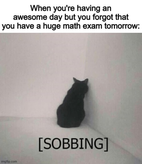 U_U | When you're having an awesome day but you forgot that you have a huge math exam tomorrow: | image tagged in sobbing cat | made w/ Imgflip meme maker