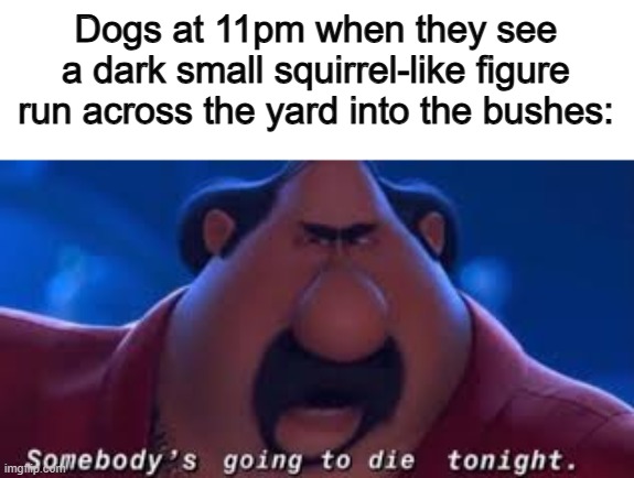 Squirrel??? | Dogs at 11pm when they see a dark small squirrel-like figure run across the yard into the bushes: | image tagged in somebody's going to die tonight | made w/ Imgflip meme maker