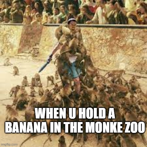 monke | WHEN U HOLD A BANANA IN THE MONKE ZOO | image tagged in monke | made w/ Imgflip meme maker