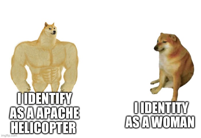 Then vs now | I IDENTIFY AS A APACHE HELICOPTER; I IDENTITY AS A WOMAN | image tagged in then vs now | made w/ Imgflip meme maker