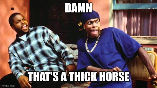 Ice Cube Damn | DAMN THAT'S A THICK HORSE | image tagged in ice cube damn | made w/ Imgflip meme maker