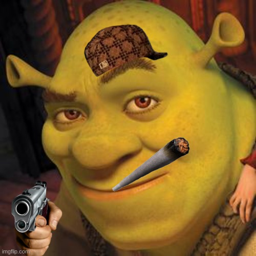 Shrek Sexy Face | image tagged in shrek sexy face | made w/ Imgflip meme maker