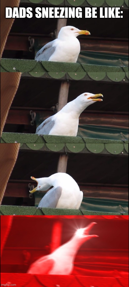 Dads sneezing be like | DADS SNEEZING BE LIKE: | image tagged in memes,inhaling seagull | made w/ Imgflip meme maker