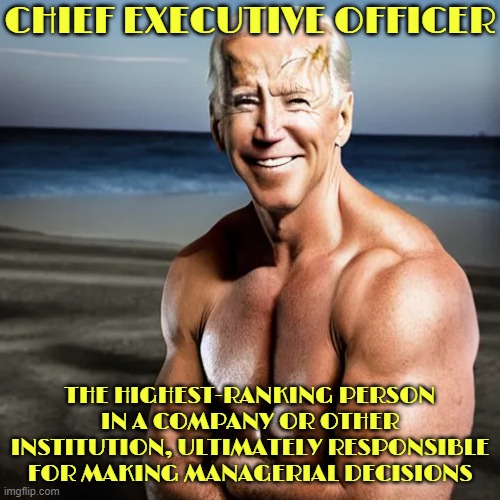 CEO | CHIEF EXECUTIVE OFFICER; THE HIGHEST-RANKING PERSON IN A COMPANY OR OTHER INSTITUTION, ULTIMATELY RESPONSIBLE FOR MAKING MANAGERIAL DECISIONS | image tagged in ceo,chief executive officer,president,boss,leader,commander | made w/ Imgflip meme maker