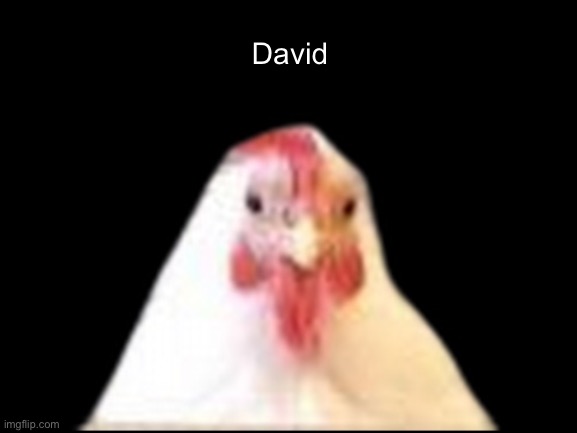 David | made w/ Imgflip meme maker
