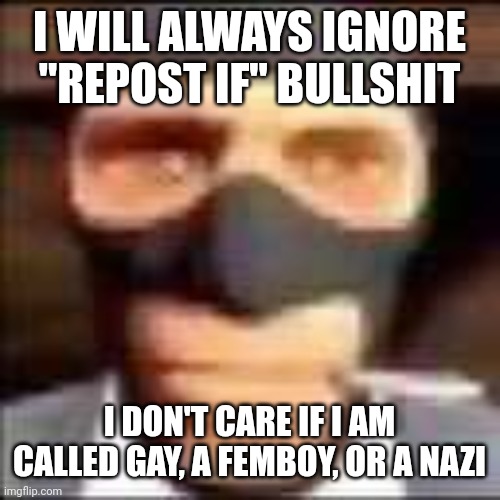 spi | I WILL ALWAYS IGNORE "REPOST IF" BULLSHIT; I DON'T CARE IF I AM CALLED GAY, A FEMBOY, OR A NAZI | image tagged in spi | made w/ Imgflip meme maker