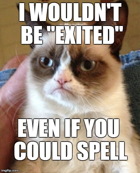 To the person who made that meme... | I WOULDN'T BE "EXITED" EVEN IF YOU COULD SPELL | image tagged in memes,grumpy cat | made w/ Imgflip meme maker