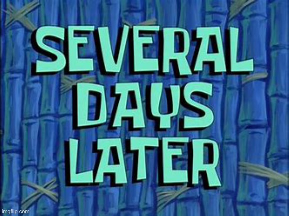 Several days later | image tagged in several days later | made w/ Imgflip meme maker