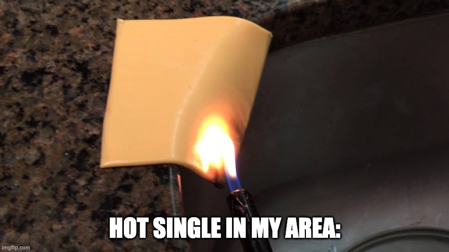 Is this meme too cheesy? | HOT SINGLE IN MY AREA: | image tagged in bad puns,cheese,funny | made w/ Imgflip meme maker