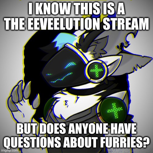 I KNOW THIS IS A THE EEVEELUTION STREAM; BUT DOES ANYONE HAVE QUESTIONS ABOUT FURRIES? | made w/ Imgflip meme maker