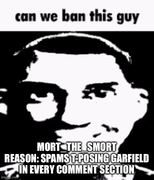 Can we ban this guy | MORT_THE_SMORT
REASON: SPAMS T-POSING GARFIELD IN EVERY COMMENT SECTION | image tagged in can we ban this guy | made w/ Imgflip meme maker
