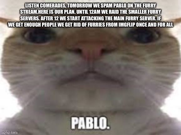 Pablo | LISTEN COMERADES, TOMORROW WE SPAM PABLO ON THE FURRY STREAM.HERE IS OUR PLAN. UNTIL 12AM WE RAID THE SMALLER FURRY SERVERS. AFTER 12 WE START ATTACKING THE MAIN FURRY SERVER. IF WE GET ENOUGH PEOPLE WE GET RID OF FURRIES FROM IMGFLIP ONCE AND FOR ALL | image tagged in pablo | made w/ Imgflip meme maker