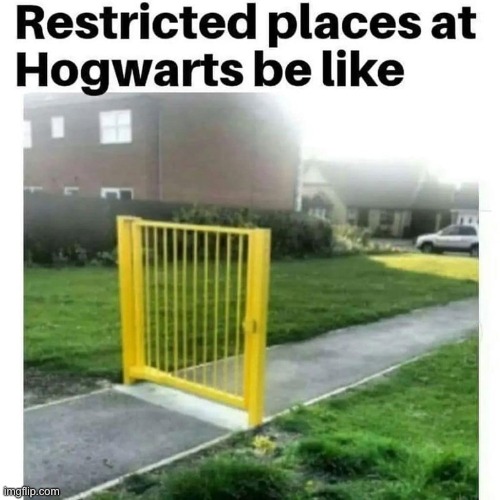 Just why!? | image tagged in memes,funny,hogwarts,harry potter,repost | made w/ Imgflip meme maker